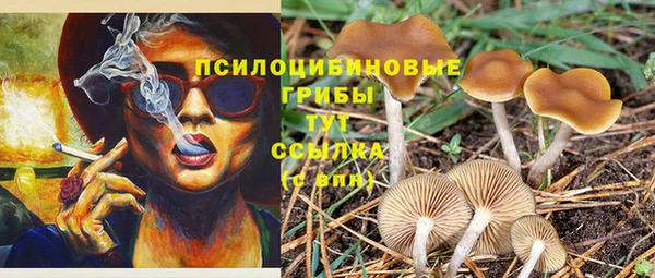 COCAINE Горнозаводск