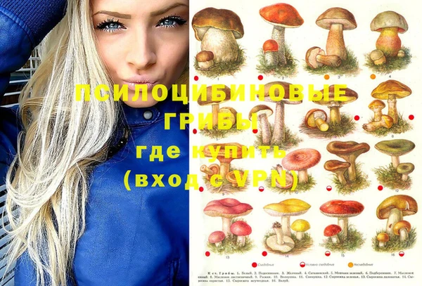 ешки Семилуки